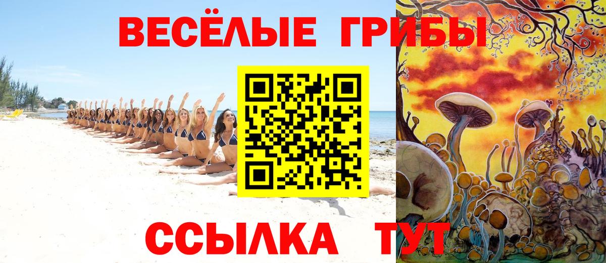 Псилоцибиновые грибы мицелий  Вход с VPN  Кумертау 