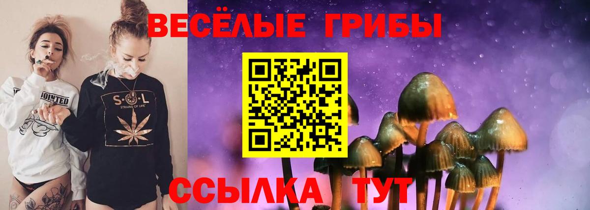 Галлюциногенные грибы мицелий Кумертау